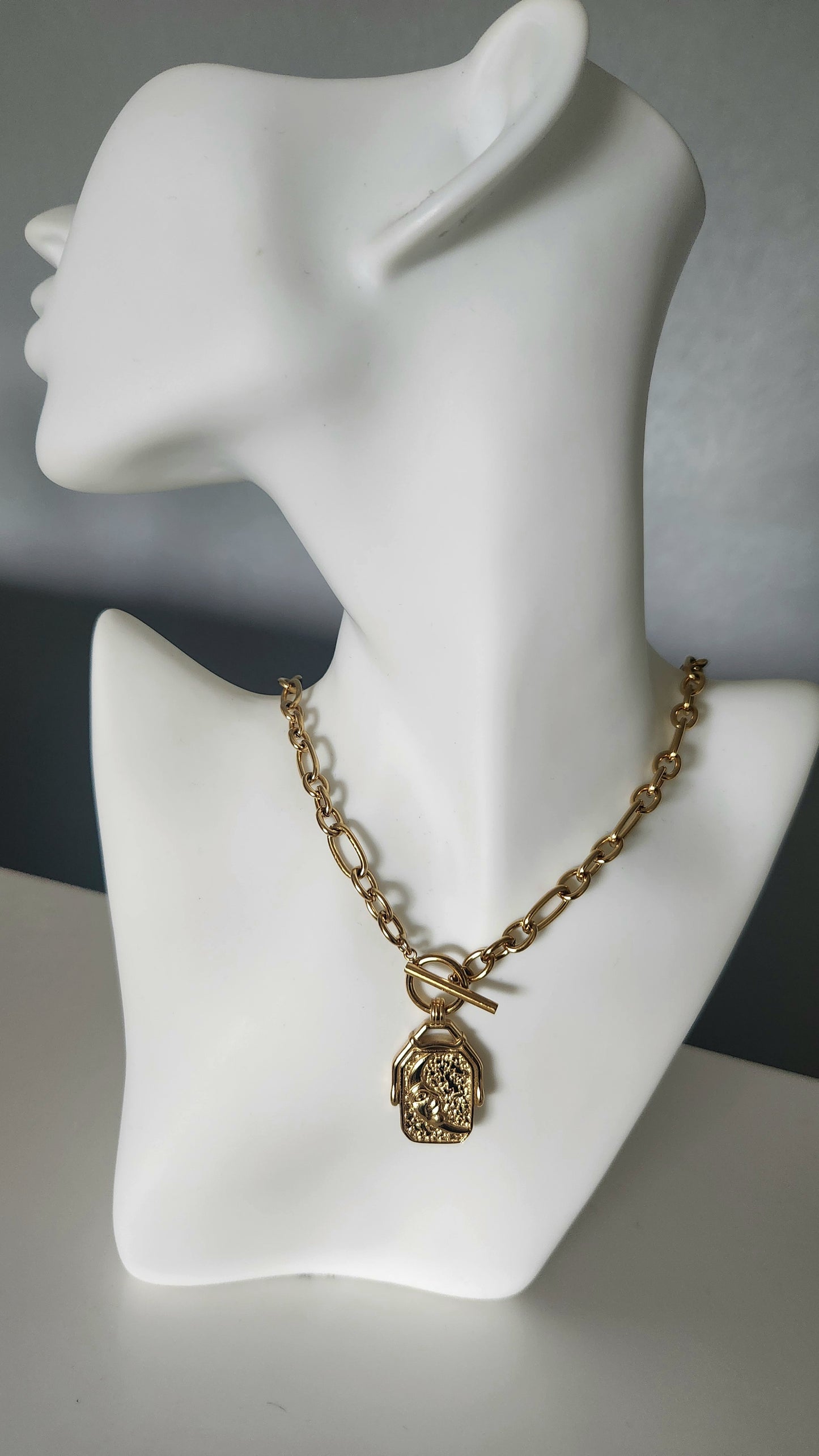 Two Faced Toggle Clasp Necklace