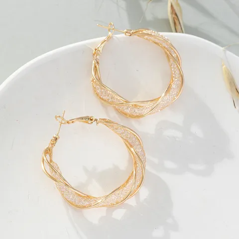 Gold & Mesh Hoop Earrings